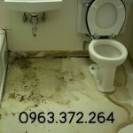chongthamdotuytinhanoi.com